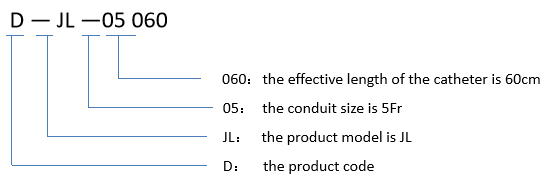 guide catheter (2)